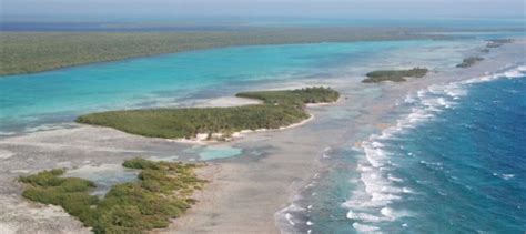 Belize Flats Fishing Belize Scuba Diving And Belize Eco Tour Resort
