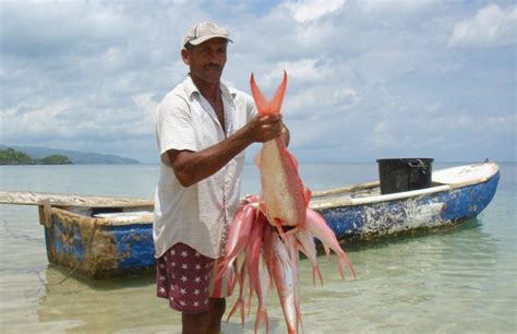 Dominican republic is the second largest and most diverse caribbean country, situated just two hours south of miami, less than four hours from new york and eight hours from most european cities. La pesca en República Dominicana se redujo un 50% en dos ...