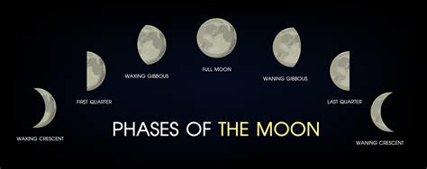 As Fases Da Lua Vetor No Vecteezy
