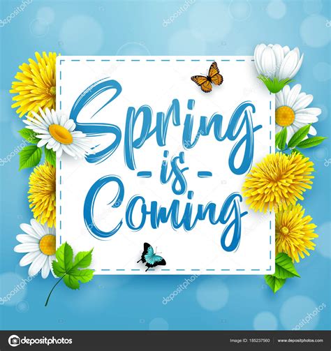 Spring Coming Spring Background Beautiful Colorful Flower Blue