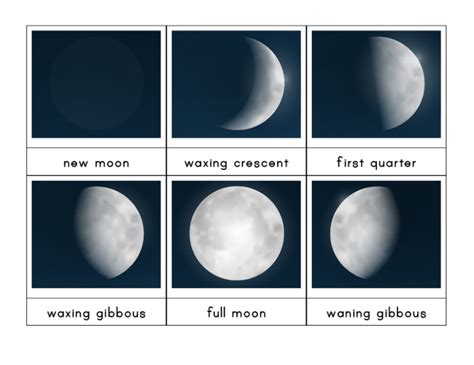 Phases Of The Moon 3 Part Cards T Of Curiosity