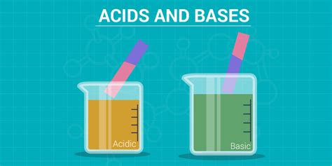 Acids And Bases Properties Of Acids And Bases Differences
