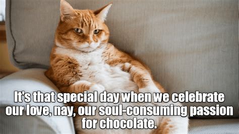 Happy Valentines Day Lovers Lolcats Lol Cat Memes Funny Cats