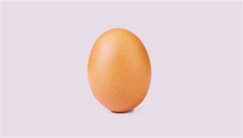 This Is Madness Picture Of An Egg Beats Kylie Jenner For Most Liked
