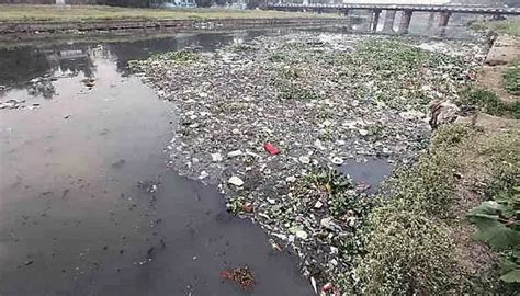 Pune News River Is Getting Polluted Faster Than Its Rejuvenation