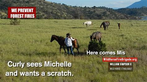 Michelle Gough And William Simpson Live Among Free Roaming Wild Horses In