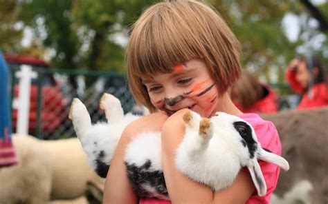 Petting Zoos Are Breeding Grounds For Potentially Lethal Bugs