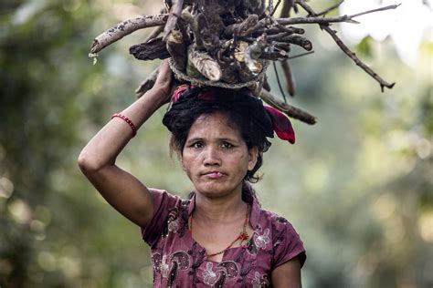 Outmigration Leads To Reforestation In Nepal Asia Pacific