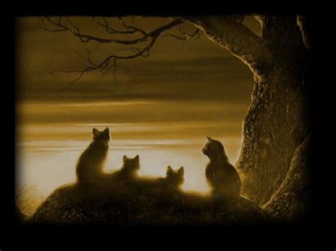 Warriors Cats Backgrounds Wallpaper Cave