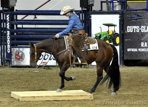 Trail Is A Competitive Class At Horse Shows Where Horses And Riders In