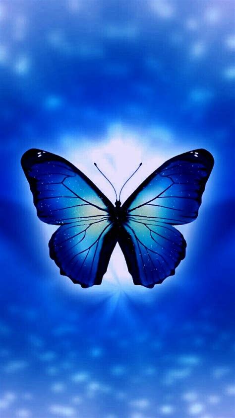 Blue Butterfly Butterfly Wallpaper Backgrounds