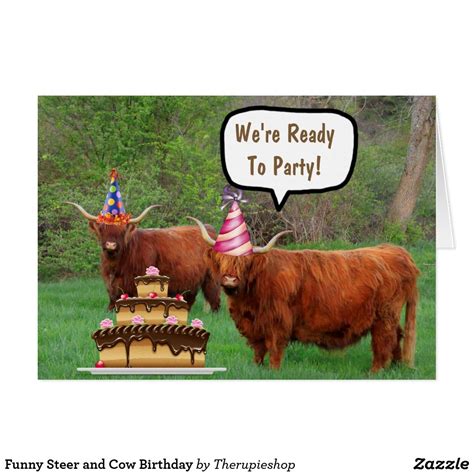 Funny Steer And Cake Birthday Card Birthday Napkins Cow
