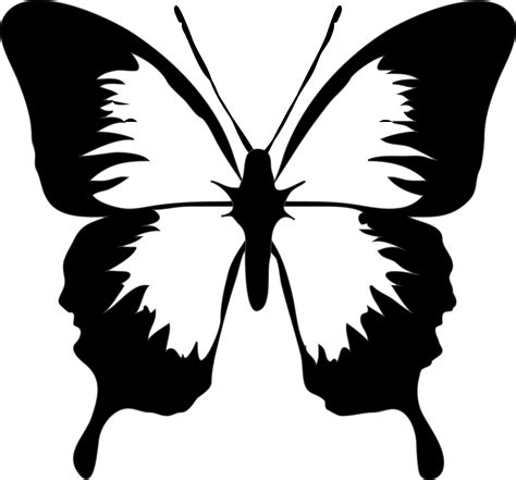 butterfly | Butterfly drawing, Butterfly stencil, Butterfly clip art