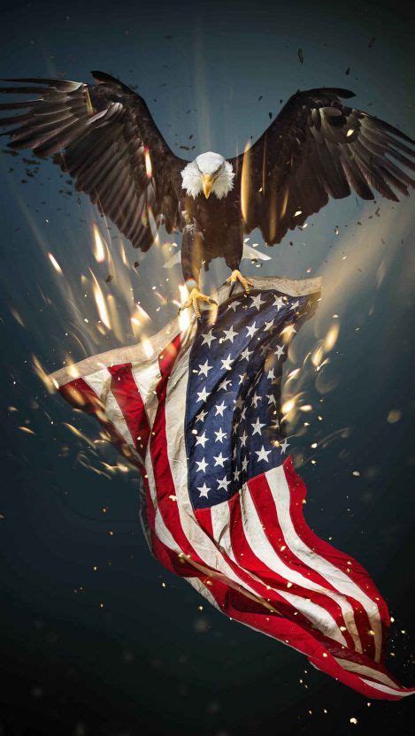 Usa Eagle Iphone Wallpaper American Flag Wallpaper American Flag Art
