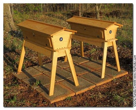 Beekeeping supplies & beehives for sale. The Corray's Home: The Bee Backstory