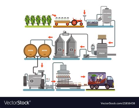 Wine Production Process Beverage From Royalty Free Vector