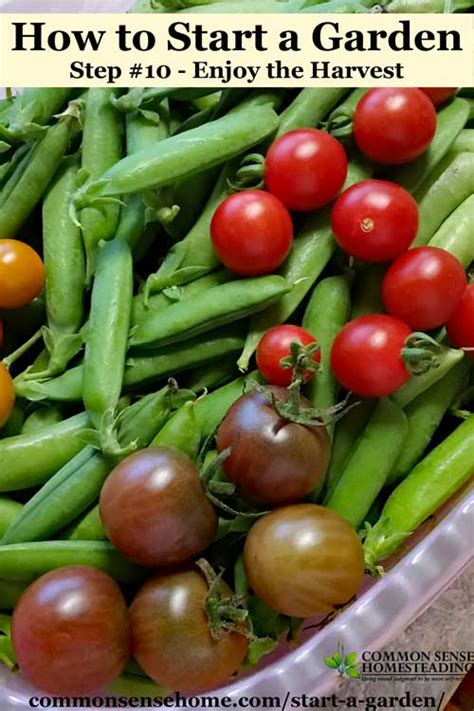 At the back of this handbook you will find seed starting charts. How to Start a Garden - 10 Steps to Gardening for Beginners