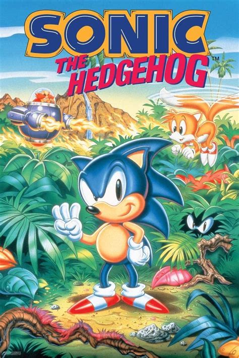 Laminated Sonic The Hedgehog Sonic 3 Box Art Sega Video Game Gaming