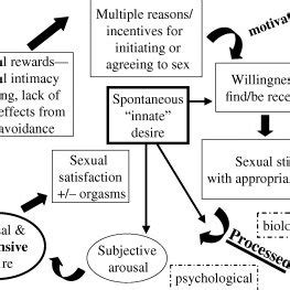 Women S Circular Sexual Response Cycle Of Overlapping Phases Of Download Scientific Diagram