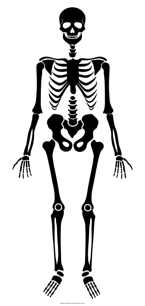 Disegni Da Stampare E Colorare Esqueleto Scheletro Skelett Squelette