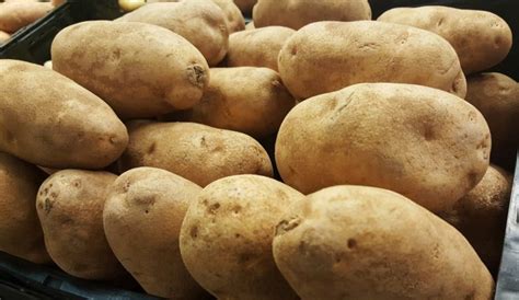 All About Potatoes Fun Facts For All Ages Backyard Boss