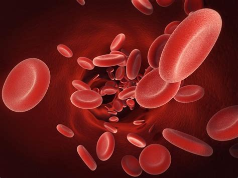 Mengenal Thalasemia Penyakit Kelainan Sel Darah