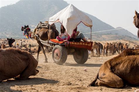 The pushkar camel fair is a photographer's dream. 24 hours at the world's largest camel fair: Pushkar, India ...