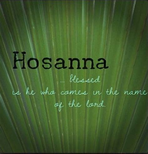 101 palm quotes follow in order of popularity. happy-palm-sunday-quote-pictures (With images) | Palm sunday quotes, Sunday quotes, Happy palm ...