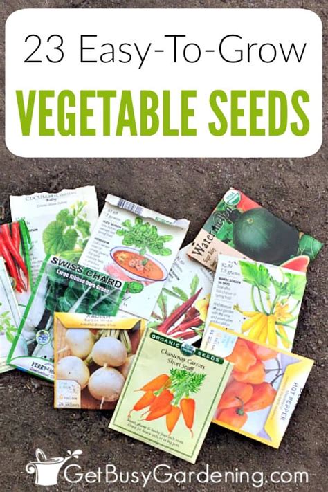 Carrots are easy vegetables to grow indoors. 23 Easiest Vegetables To Grow from Seed - Get Busy Gardening