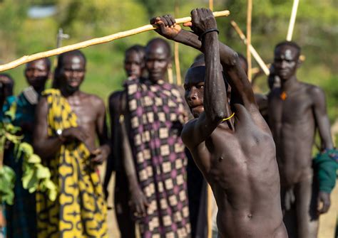 suri tribe warriors fighting during a donga stick ritual … flickr