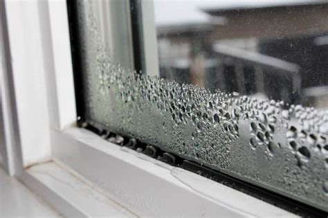 If your window is leaking around the top of the frame, you may not actually be experiencing a window leak at all. How to Fix Leaking Window? | Ocean Impact Windows