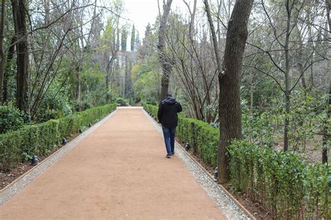 Nuestro patronato está constituido por personalidades de prestigio del ámbito de la cooperación, la judicatura, la medicina, la innovación social y la gestión. La Alhambra abre al público el tramo este del Paseo de los ...