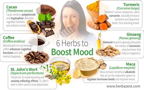 6 Herbs To Boost Mood Herbazest