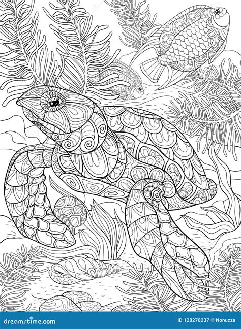 Adult Coloring Page Book A Cute Turtle Illustration For Relaxing Zen