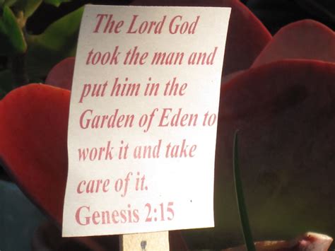 Pin On Garden Scripture Quotes And Sayings
