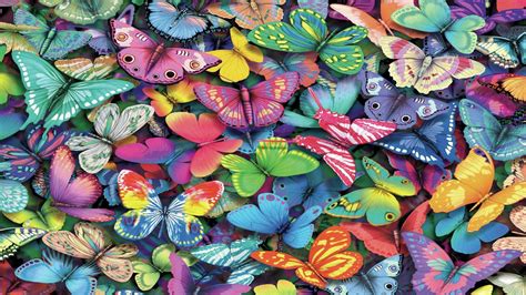 Collection Of Colorful Butterflies K Hd Butterfly Wallpapers Hd
