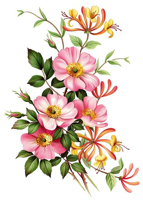 Pink Flower On Behance Beautiful Flower Drawings Flower Drawing