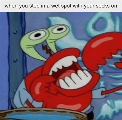 Spongebob Krabs Meme