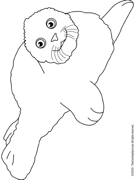 Harp Seal Coloring Page Audio Stories For Kids Free Coloring Pages