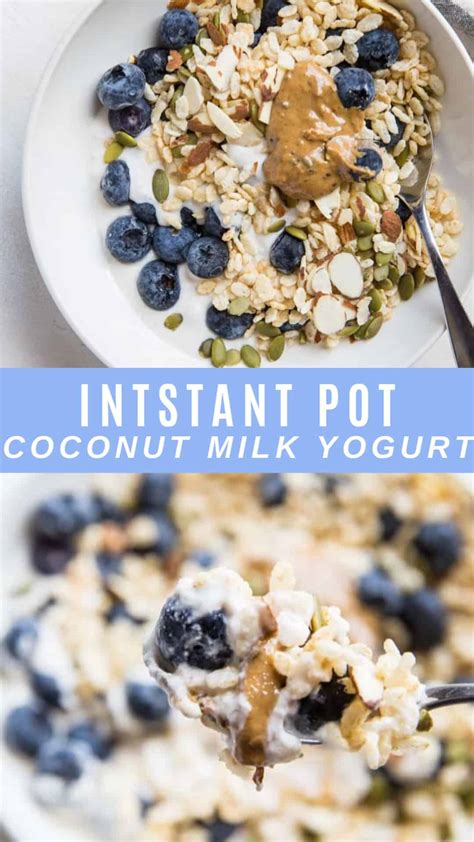 Instant Pot Coconut Milk Yogurt Paleo Vegan Aip The Roasted Root