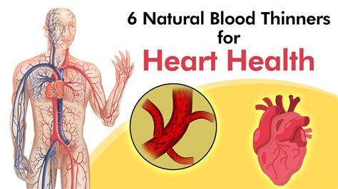 6 Natural Blood Thinners For Heart Health Youtube