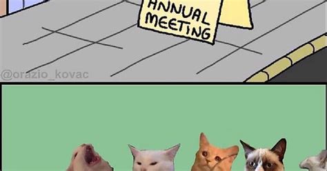 you are cordially invited to the council of cats album on imgur