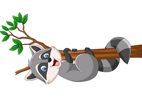 Premium Vector Cartoon Raccoon Sleeping On The Tree Branch