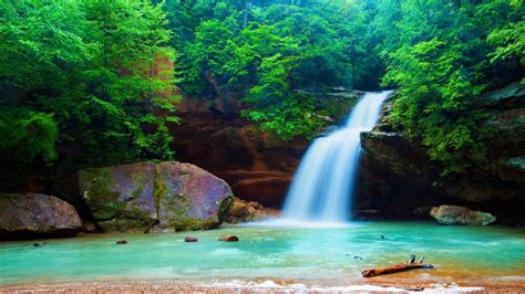 Forest Waterfall Wide Wallpaper 564070
