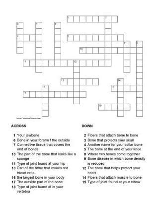 A 10 question printable anatomy crossword with answer. skeletal system crossword puzzle | Skeletal system ...