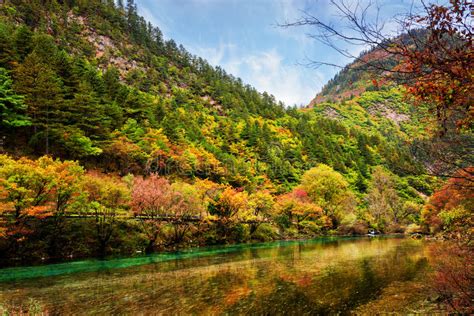 Wf Crystal Fall Vert Stock Image Image Of Streams Plant 21993983