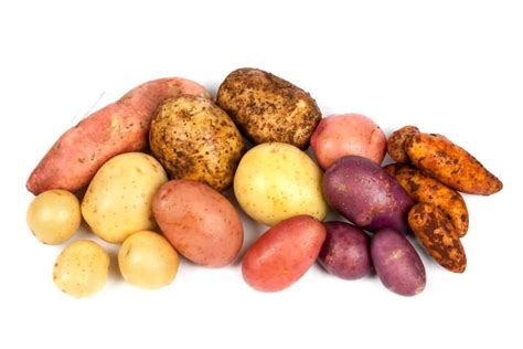 Types Of Potatoes Know Which Potato Varieties To Use When Lianas