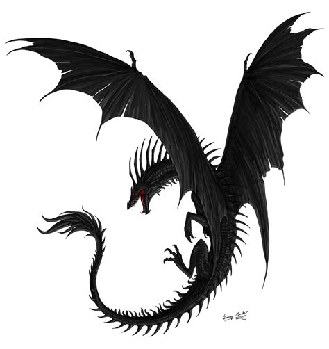 Aarok By Sunima On Deviantart Dragon Silhouette Dragon Artwork