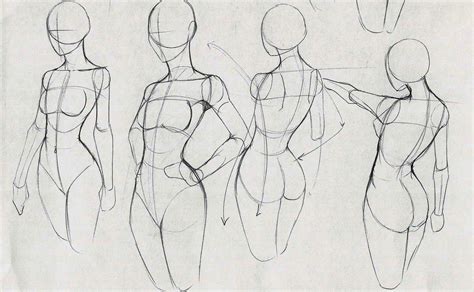 Torso Female Body Drawing Reference For Even More Pose Ideas See The