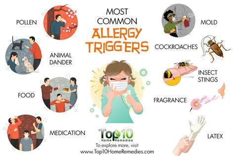 10 Most Common Allergy Triggers Top 10 Home Remedies